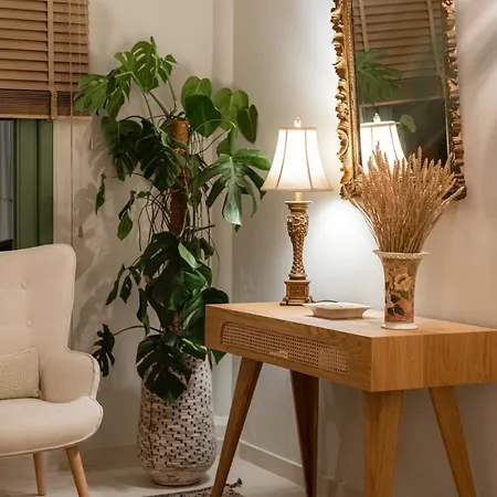 Casa Di Fiori Ándros