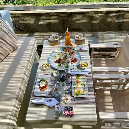 Casa Di Fiori Ándros