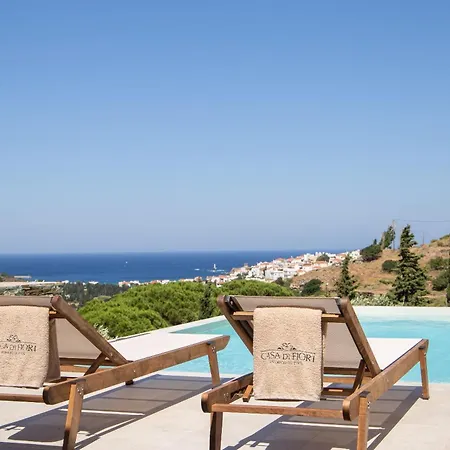 Casa Di Fiori Ándros