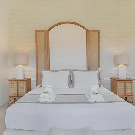Casa Di Fiori Ándros