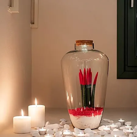 شقة فندقية Casa Di Fiori 4*